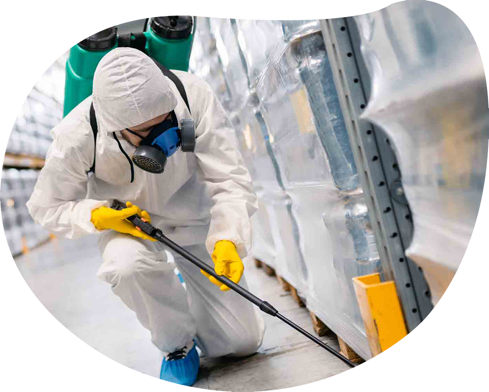 Vizag Pest Control Services